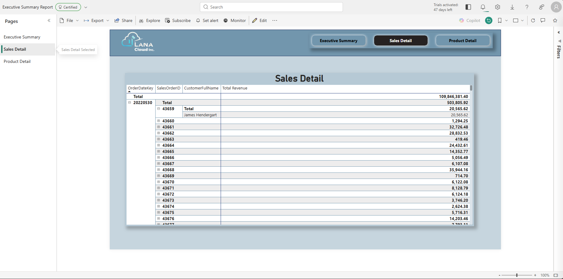 Sales Detail drillthrough page — matrix visual with OrderDateKey, SalesOrderID, CustomerFullName hierarchy and Total Revenue column. Grand total 109,846,381.40.